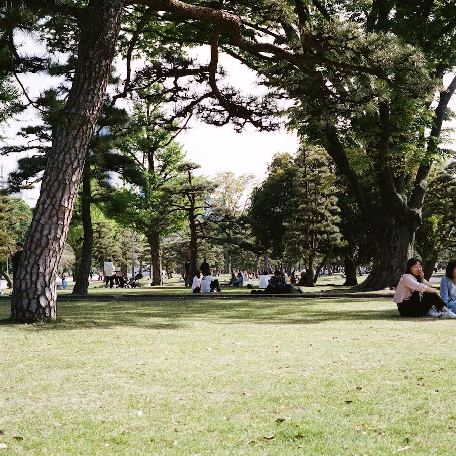 Shot on Leica M6, Kodak Portra 400